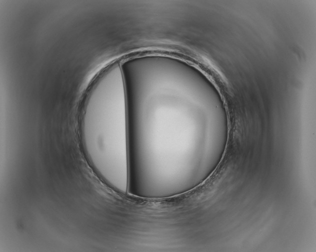 X0000110971360200906191102