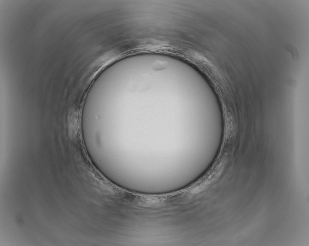 X0000110971361200906191102