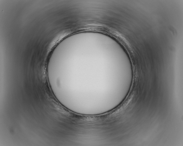 X0000110971362200906191102