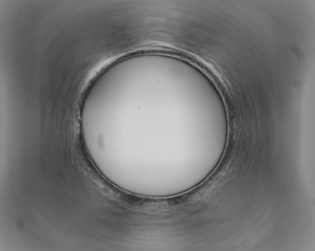 X0000110971363200906191102