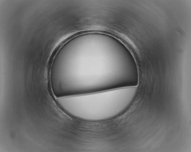 X0000110971364200906191102