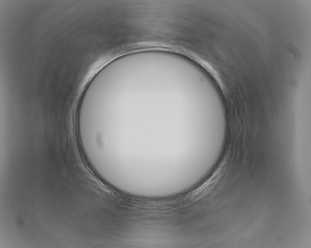 X0000110971365200906191102