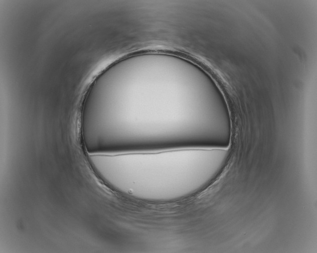 X0000110971367200906191102