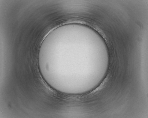 X0000110971369200906191102