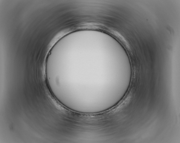 X0000110971370200906191102