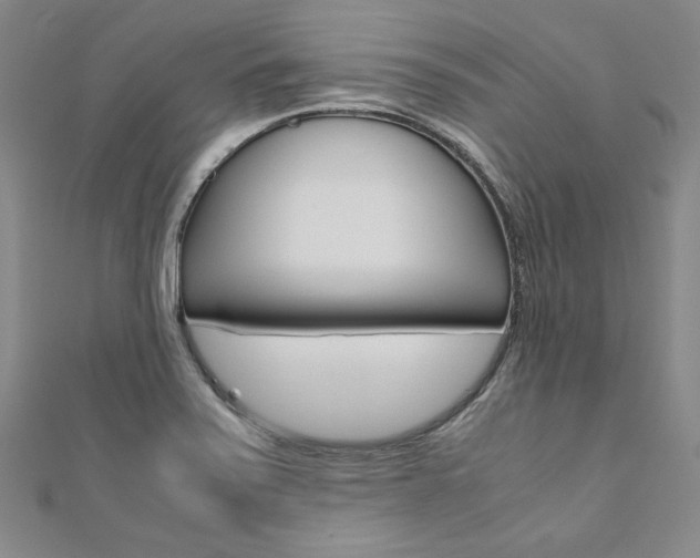 X0000110971371200906191102