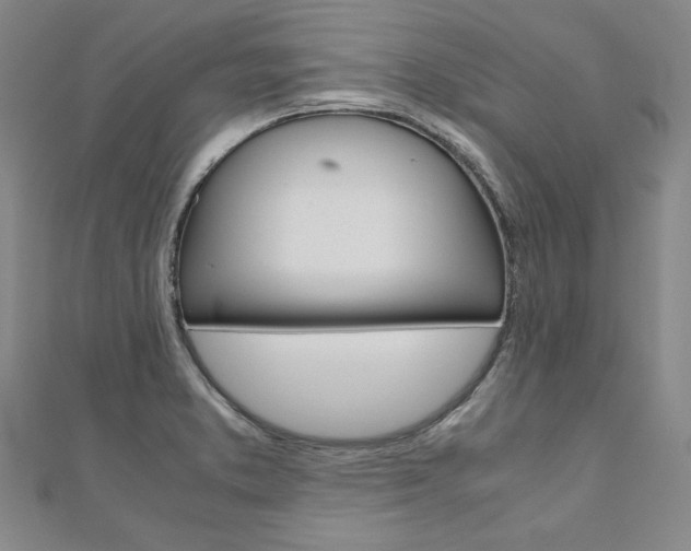 X0000110971373200906191102