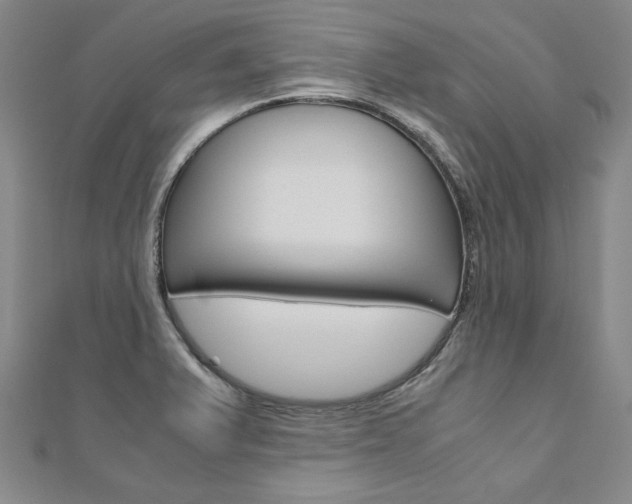 X0000110971375200906191102