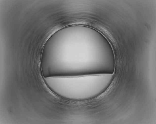 X0000110971377200906191102