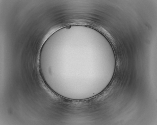 X0000110971378200906191102