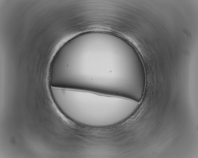 X0000110971379200906191102