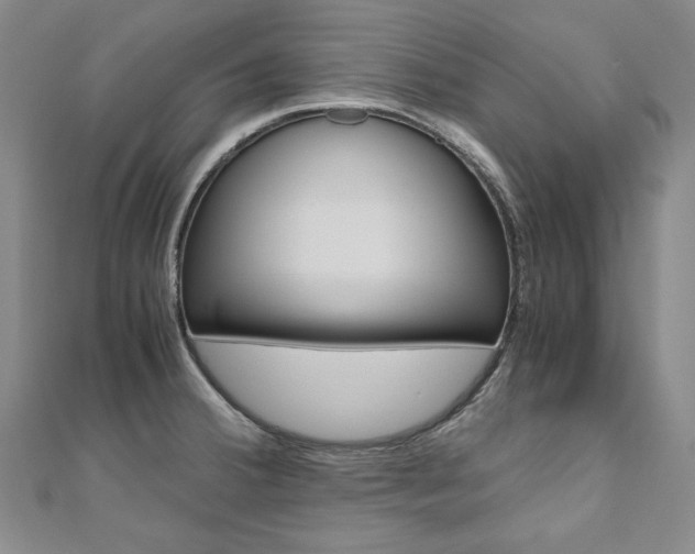 X0000110971380200906191102