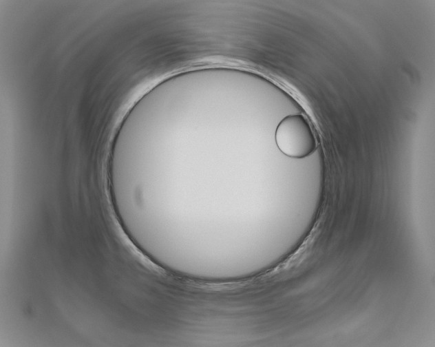 X0000110971381200906191102