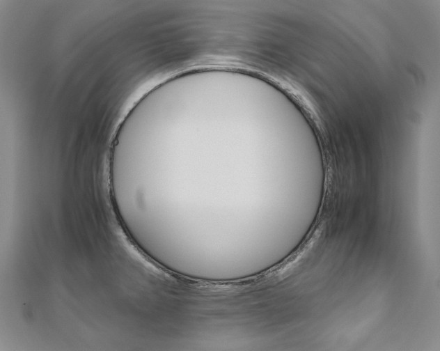 X0000110971382200906191102