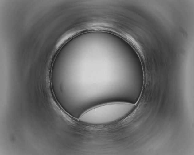 X0000110971384200906191102