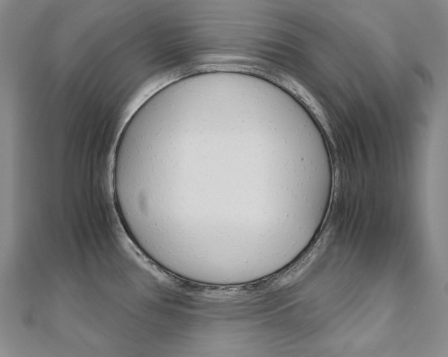 X0000110971386200906191102