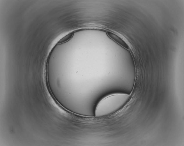 X0000110971387200906191101