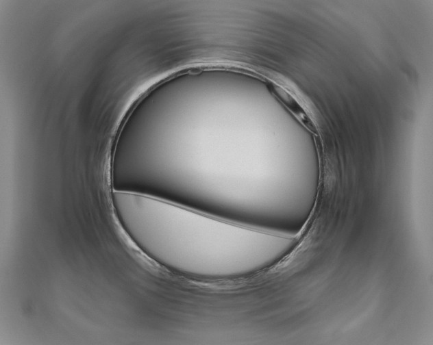 X0000110971388200906191101