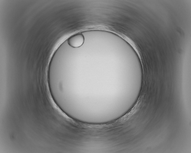 X0000110971389200906191101