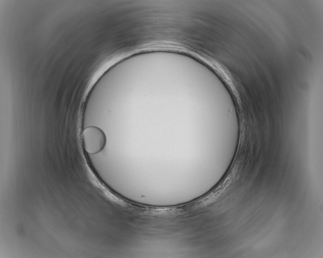 X0000110971390200906191101