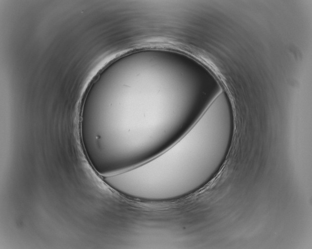 X0000110971392200906191101