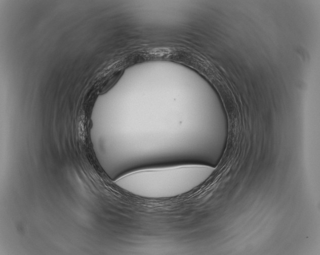X0000110971394200906191101