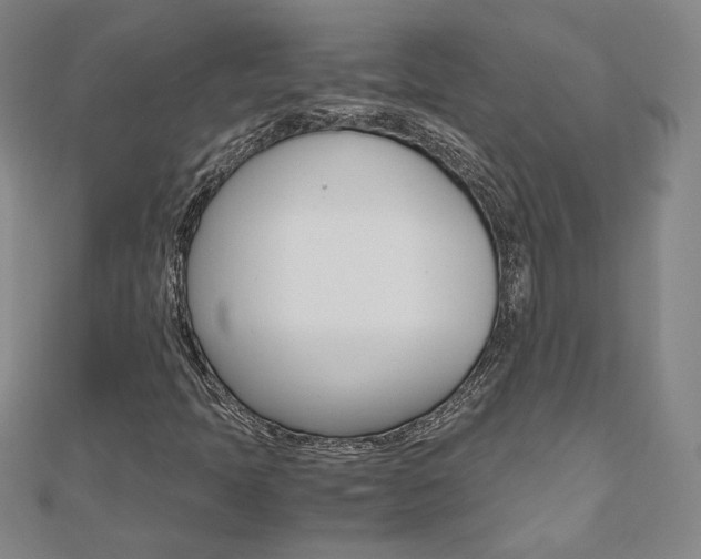 X0000110971397200906191101
