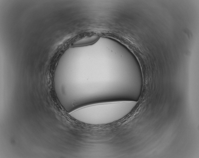 X0000110971398200906191101