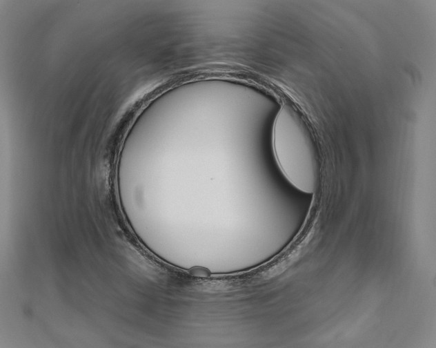 X0000110971402200906191101