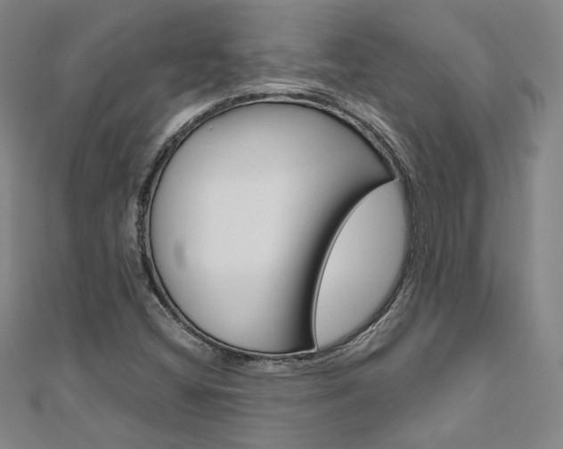 X0000110971404200906191101
