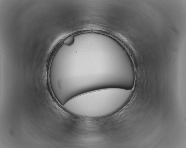 X0000110971408200906191101