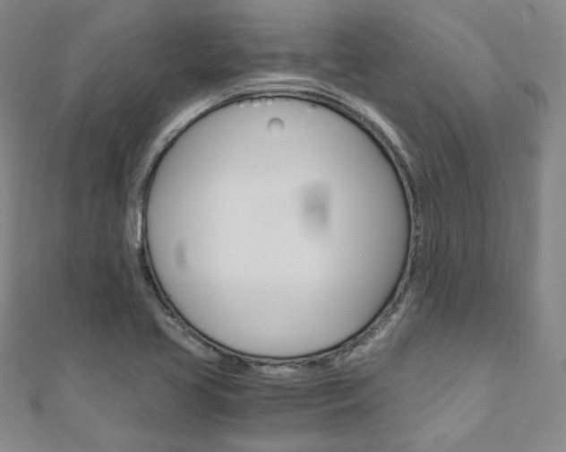 X0000110971413200906191101