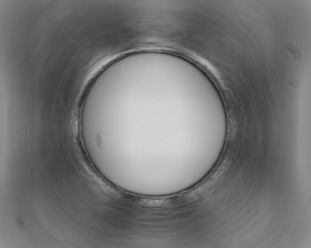 X0000110971415200906191101