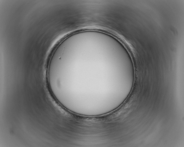 X0000110971416200906191101