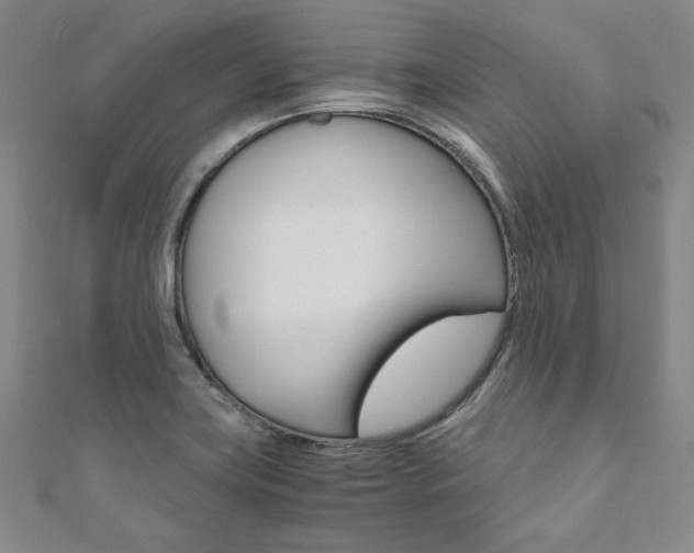 X0000110971419200906191101