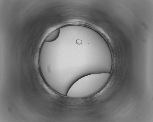 X0000110971421200906191101