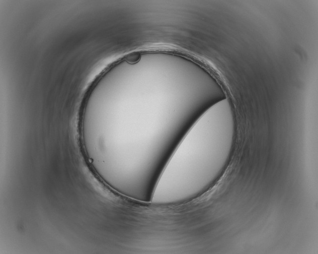 X0000110971422200906191101