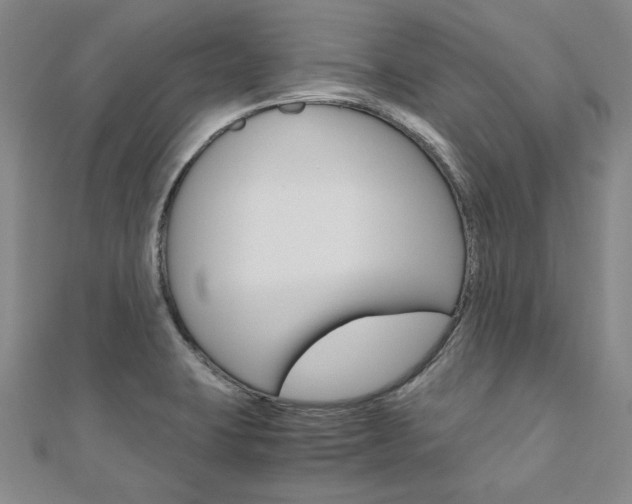 X0000110971423200906191101