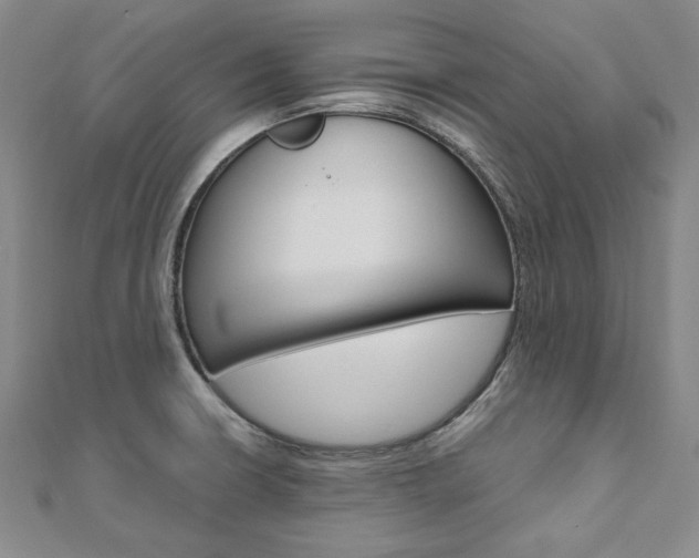 X0000110971426200906191101