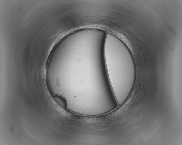 X0000110971428200906191101