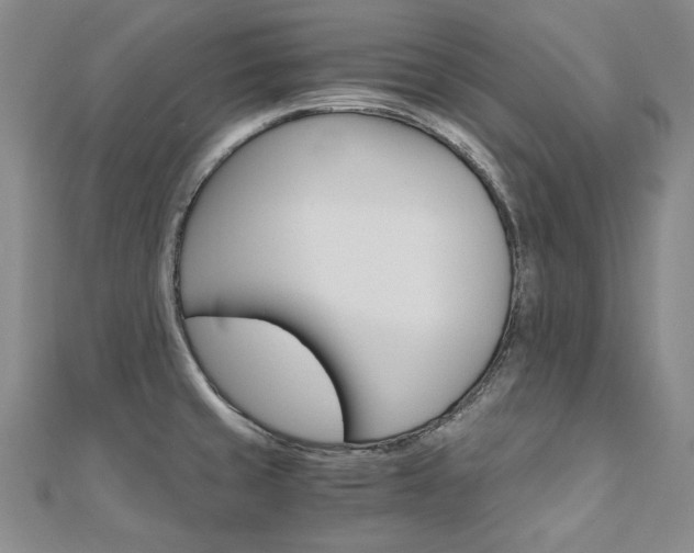 X0000110971429200906191101