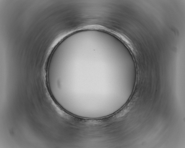 X0000110971430200906191101