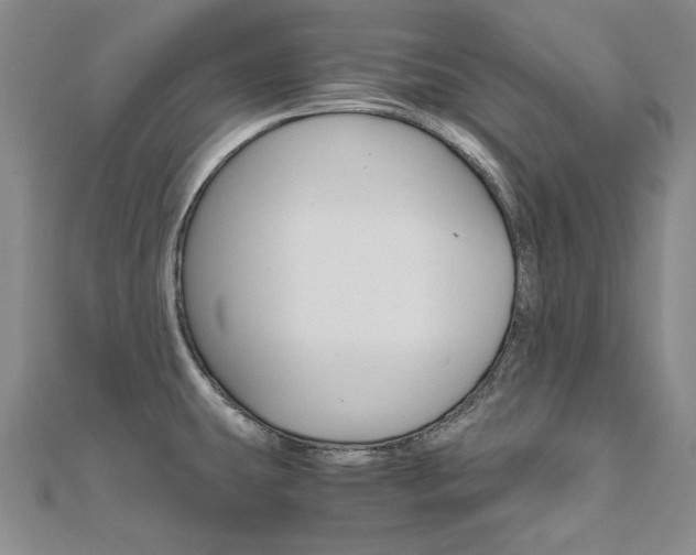 X0000110971431200906191101