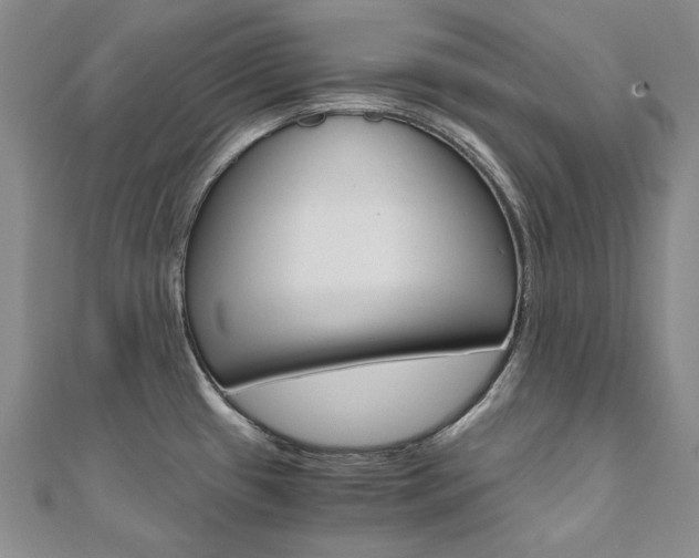 X0000110971433200906191101