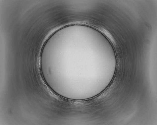 X0000110971436200906191101