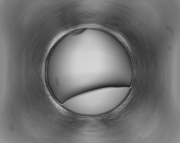 X0000110971438200906191101