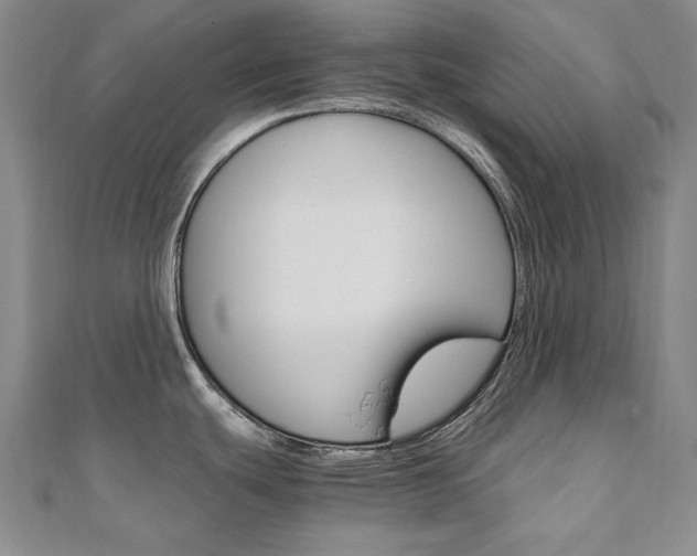 X0000110971439200906191101