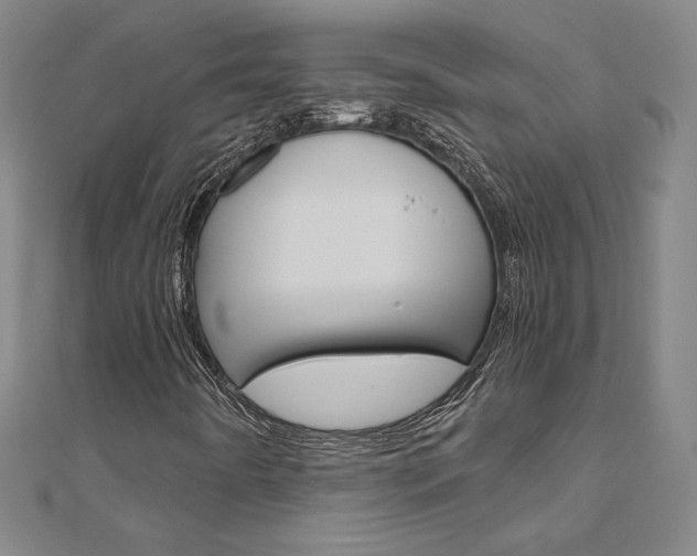 X0000110971442200906191101