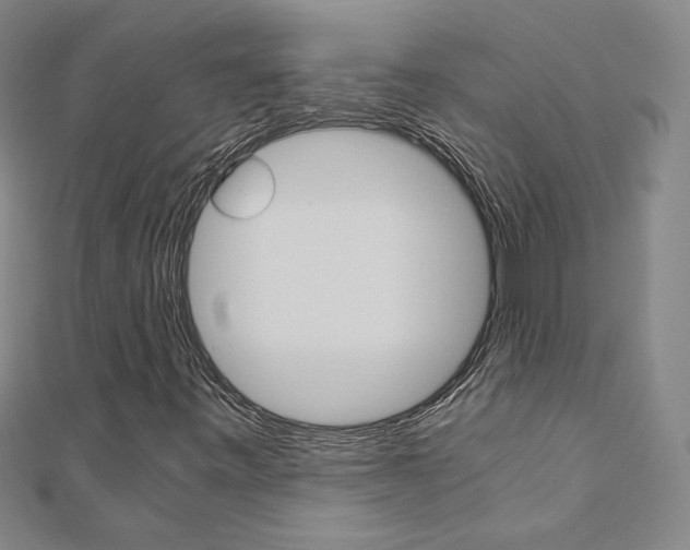 X0000110971443200906191101