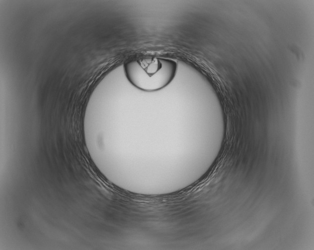 X0000110971444200906191101